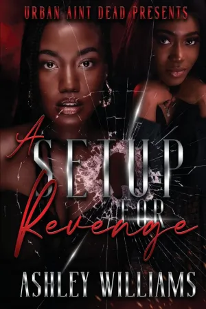 A Setup For Revenge Paperback  February 9, 2023