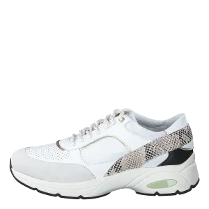 D Alhour White/off White